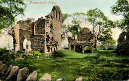 FLINTSHIRE - BASINGWERK ABBEY 1909 Clw289 - Flintshire