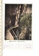 48263 - AARESCHLUCHT MEYRINGEN - Meyrin