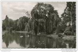 Herford - An Der Aa - Foto-AK 50er Jahre - Herford