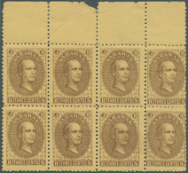 Malaiische Staaten - Sarawak: 1869, Sir James Brooke 3c. Brown On Yellow Marginal Block Of Eight Fro - Other & Unclassified