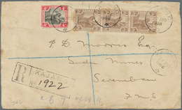 Malaiische Staaten - Selangor: 1906, KAJANG: Federated Malay States Tiger 4c. Black/rose And 3c. Bro - Selangor