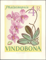 Thematik: Flora-Orchideen / Flora-orchids: 1967. Artist's Drawing Showing PHALAENOPSIS, With Inscrip - Orchideen