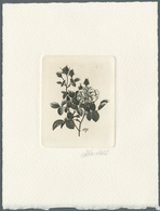 Thematik: Flora-Rosen / Flora-roses: 1989, Belgium. Epreuve D'artiste Signée In Black For The Stamp - Rosen