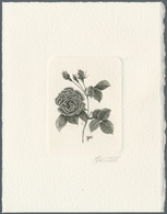 Thematik: Flora-Rosen / Flora-roses: 1990, Belgium. Epreuve D'artiste Signée In Black For The Stamp - Roses