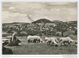 Homberg - Foto-AK Grossformat 60er Jahre - Homberg