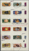 Thematik: Tiere-Fische / Animals-fishes: 1974, Penrhyn, FISHES OF THE PACIFIC - 8 Items; Collective, - Fishes