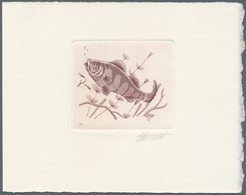 Thematik: Tiere-Fische / Animals-fishes: 1990, Belgium. Epreuve D'artiste Signée In Reddish-brown Fo - Fische