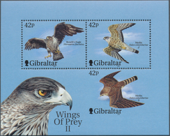 Thematik: Tiere-Greifvögel / Animals-birds Of Prey: 2000, Gibraltar, Birds Of Prey, Souvenir Sheet, - Adler & Greifvögel