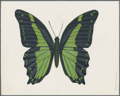 Thematik: Tiere-Schmetterlinge / Animals-butterflies: 2001, SAO TOME E PRINCIPE: Native BUTTERFLY (P - Schmetterlinge
