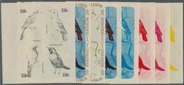 Thematik: Tiere-Vögel / Animals-birds: 1970, Burundi, Lanius Senator, Monticola Saxatilis, Phoenicur - Other & Unclassified