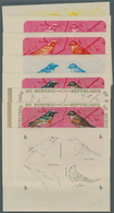 Thematik: Tiere-Vögel / Animals-birds: 1970, Burundi, Phoenicurus Phoenicurus, Prunella Modularis, M - Sonstige & Ohne Zuordnung