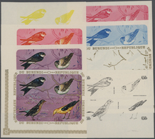 Thematik: Tiere-Vögel / Animals-birds: 1970, Burundi, Delichon Urbica, Acrocephalus Schoenobaenus, T - Sonstige & Ohne Zuordnung