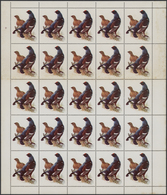 Thematik: Tiere-Vögel / Animals-birds: 1972, Schardscha / Sharjah, Birds, 20dh. "Black Grouse" Showi - Sonstige & Ohne Zuordnung