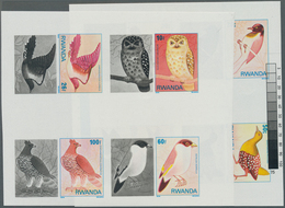 Thematik: Tiere-Vögel / Animals-birds: 1980, RUANDA: Birds From Nyungwe Forest Complete Set Of Eight - Sonstige & Ohne Zuordnung