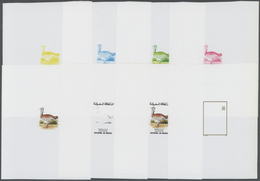 Thematik: Tiere-Vögel / Animals-birds: 1988, Marocco, 16 Items, Progressive Plate Proofs Of The Set - Autres & Non Classés