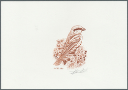 Thematik: Tiere-Vögel / Animals-birds: 2000, Belgium. Epreuve D'artiste Signée In Sepia For The Stam - Other & Unclassified