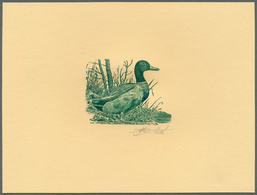 Thematik: Tiere-Wasservögel / Animals-water Birds: 1989, Belgium. Set Of 4 Epreuves D'artiste In Gre - Other & Unclassified
