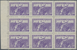 Argentinien: 1930, Revolution 30 C.violet, All Stamps NH But 2 Hinge Reminders In Margin, The Center - Autres & Non Classés