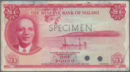 Malawi: 1 Pound L.1964 Color Trial SPECIMEN, P.3cts With A Few Folds, Lightly Stained Paper, Some Sm - Malawi