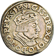 Polen: Danzig, Sigismund I. 1506-1548: Dreigröscher (Trojak) 1536. Gekrönte Büste Nach Rechts / Wert - Pologne