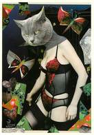 Illustrateur Perrigault - Chats - Cats - Cat - Femmes -Femme Avec Tête De Chat - Photo Montage - Surréalisme -Autographe - Andere & Zonder Classificatie