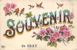 70-GRAY- SOUVENIR DE GRAY - Gray