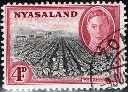 NYASALAND, PROTETTORATO BRITANNICO, BRITISH PROTECTORATE, RE GIORGIO VI, AGRICOLTURA, TABACCO, 1945 USATO YT 82 Scott73 - Nyassaland (1907-1953)