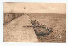 85 Vendée Ile De Noirmoutier Port De L'herbaudière Les Viviers  Ed Bergevin 21202 Photo Ramutche - Ile De Noirmoutier