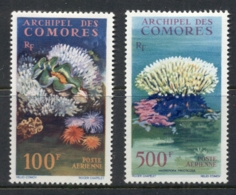 Comoro Is 1962 Marine Life, Corals MLH - Comoros