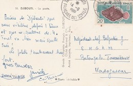 BALISTE YT 299 SEUL SU CPSM DJIBOUTI 14/9/61 POUR MADAGASCAR - Briefe U. Dokumente