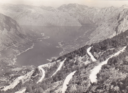 EX YOUGOSLAVIE,jugoslavija,MONTENEGRO,prés Croatie,BOKA KOTORSKA,BOUCHES DE KOTOR,CATTARO,CARTE PHOTO RARE - Montenegro