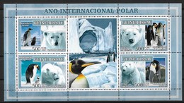 GUINEA - BISSAU  2007 International Polar Year - Internationales Polarjahr