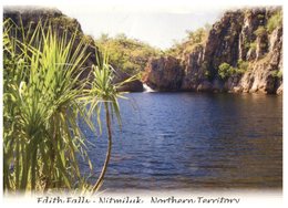 (900) Australia - (with Stamp At Back Of Card) NT - Edith Falls - Unclassified