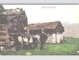 Rast Auf Der Alp Tschiertschen Mit Leben Farbelitho C. 1907 - Tschiertschen