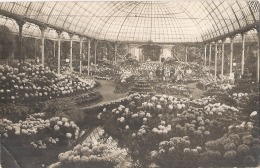 ***75 ***  PHOTO CARTE   ** PARIS  Exposition Nationale D'Horticulture - C Robert Phot - Cultures