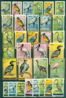 Burundi 1965 On Pictorials, Birds Asst Inc Opts CTO - Andere & Zonder Classificatie