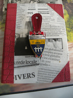 INSIGNE DES SAPEURS POMPIERS DE PAU (64) - Pompiers