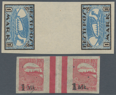 Estland: 1919,1920: 1 M Definitive Issue Mnh As Tete Beche Pair With Gutter And 1 M On 35 P As Gutte - Estland