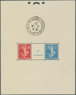 Frankreich: 1927, Blockausgabe 'Ausstellung Strasbourg' (110 X 139 Mm) Mit Ausstellungs-Sonderstempe - Andere & Zonder Classificatie