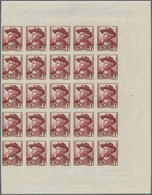 Frankreich: 1941, Frederic Mistral 1fr. (Poet And Nobel Prize 1904) IMPERFORATE Block Of 25 From Rig - Altri & Non Classificati