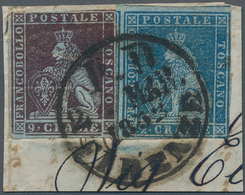 Italien - Altitalienische Staaten: Toscana: 1851, 2cr. Light Blue And 9cr. Brownish Purple, Intense - Toscane