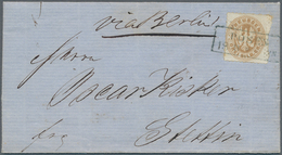 Preußen - Marken Und Briefe: 1863, 3 Sgr. Braun, Farbfrisches Exemplar Rechts Mit DOPPELTEM Durchsti - Other & Unclassified