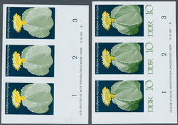 DDR: 1970, Kakteen 10 Pf. 'Bischofsmütze (Astrophytum Myriostigma)' In 4 Verschiedenen Ungezähnten W - Collections