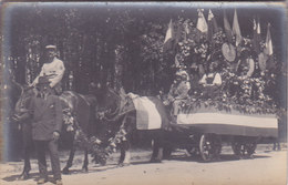 Vendée Les Essarts Cavalcade 1919 Char Fleurie Attelé Par Chevaux Carte Photo - Les Essarts