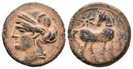 ZEUGITANIA. Calco. 215-201 A.C. Carthago. A/ Cabeza De Tanit Coronada Con Grano / Caballo Parado, Cabeza Vuelta Y Estrel - Otros & Sin Clasificación