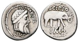 Q. CAECILIUS METELLUS PIUS SCIPIO. Denario. 47-46 A.C. Ceca Militar Móvil Acompañando A Scipio En Africa. A/ Cabeza Laur - Röm. Republik (-280 / -27)