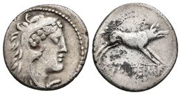 M. VOLTEIUS. Denario. 78 A.C. Roma. A/ Busto De Hércules Joven A Derecha Cubierto Con Piel De León. R/ Jabalí A Derecha, - Röm. Republik (-280 / -27)