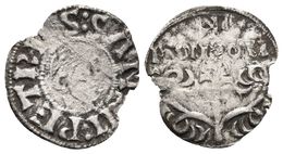 PEDRO I DE ARAGON. Dinero. (1094-1104). Monzón. A/ :PETRVS:SANCII, Comenzando A Las 6h. R/ MONSON, Entre Cruz Y árbol.   - Other & Unclassified