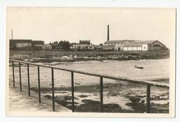 85 Vendée Ile De Noirmoutier L'herbaudière Les Usines De Conserves Ed Nozais - Ile De Noirmoutier