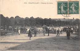 58-CHATILLON- CHAMP DE FOIRE - Chatillon En Bazois